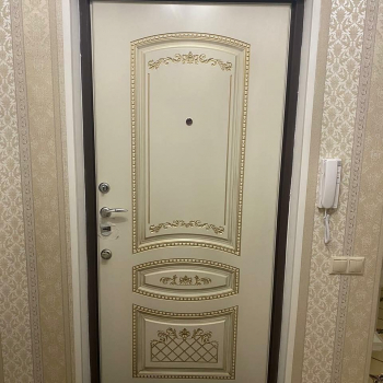 Фото двери с МДФ №25